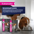 Корм сухой полнорационный EUKANUBA для взрослых собак мелких и средних пород старше 1 года с ягненком.