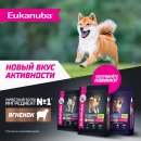 Корм сухой полнорационный EUKANUBA для взрослых собак крупных и очень крупных старше 1 года с ягненком.