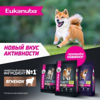 Сухой корм EUKANUBA для взрослых собак крупных и очень крупных пород старше 1 года с ягненком.