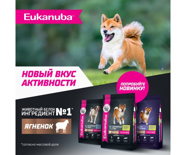 Корм сухой полнорационный EUKANUBA для взрослых собак крупных и очень крупных старше 1 года с ягненком.