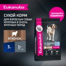 Корм сухой полнорационный EUKANUBA для взрослых собак крупных и очень крупных старше 1 года с ягненком.