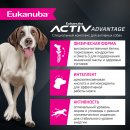 Корм сухой полнорационный EUKANUBA для взрослых собак крупных и очень крупных старше 1 года с ягненком.