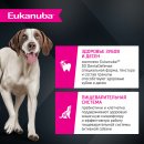 Корм сухой полнорационный EUKANUBA для взрослых собак крупных и очень крупных старше 1 года с ягненком.