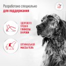 Сухой корм для собак Royal Canin Glycobalance