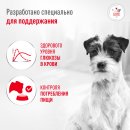 Сухой корм для собак Royal Canin Glycobalance Small Dogs 