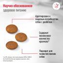 Сухой корм для собак Royal Canin Glycobalance Small Dogs 