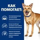 Hill's Prescription Diet Gastrointestinal i/d Консервы для собак при расстройствах пищеварения, жкт, с индейкой, 360г.