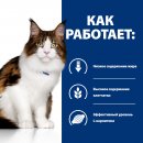 Hill's Prescription Diet w/d влажный корм для кошек, для поддержания веса и при сахарном диабете (курица), 85г.