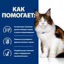 Hill's Prescription Diet w/d влажный корм для кошек, для поддержания веса и при сахарном диабете (курица), 85г.