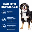 Hill's Prescription Diet Metabolic+Mobility Консервы для собак для здоровья суставов и снижения веса  (курица), 370г.
