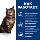 Hill's Prescription Diet k/d Early Stage Влажный диетический корм для кошек при ранней стадии болезни почек, с курицей, 85г.