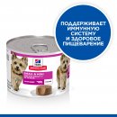 Hill's Science Plan Small&Mini Консервы для пожилых собак мелких пород, с говядиной, 200г.