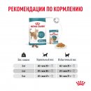 Сухой корм для кошек Royal Canin Ageing 15+ для кошек