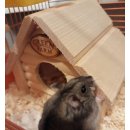 Green Farm Дом "Изба" для мелких грызунов