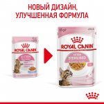 Royal Canin Kitten Sterilised в желе