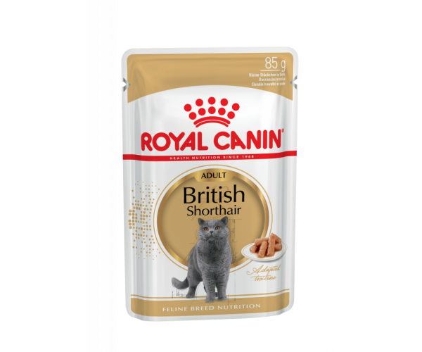 Royal Canin British Shorthair Adult в соусе для кошек