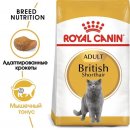Сухой корм Royal Canin British Shorthair Adult для кошек