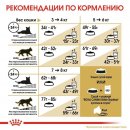 Сухой корм Royal Canin British Shorthair Adult для кошек