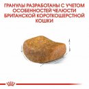 Сухой корм Royal Canin British Shorthair Adult для кошек