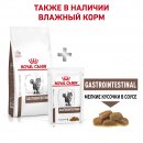 Royal Canin Gastrointestinal Сat для кошек