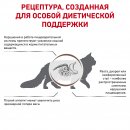 Royal Canin Gastrointestinal Сat для кошек