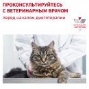Royal Canin Gastrointestinal Сat для кошек