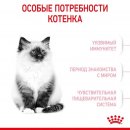 Сухой корм Royal Canin Kitten для котят