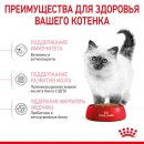 Сухой корм Royal Canin Kitten для котят