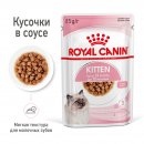 Royal Canin Kitten Instinctive в соусе для котят