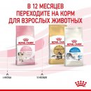 Сухой корм Royal Canin Kitten для котят