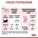 Сухой корм Royal Canin Kitten для котят
