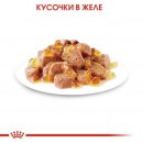 Royal Canin Sterilised в желе для кастрированных котов