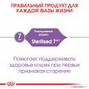 Сухой корм для кошек Royal Canin Sterilised 7+ для кошек