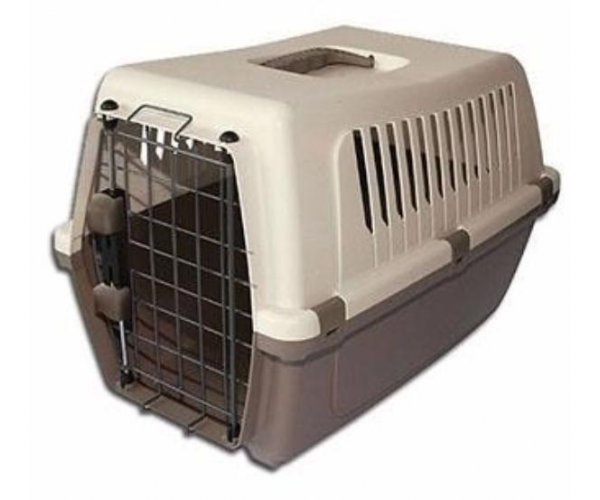 Vision Iata 55 для кошек