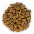 Hill's Science Plan сухой корм для котят (курица)