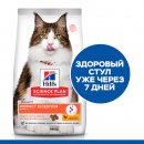 Сухой корм для кошек Hill's Science Plan Perfect Digestion с курицей и коричневым рисом