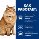Сухой корм Hill's Prescription Diet k/d + Mobility для поддержания здоровья почек и суставов с курицей для кошек