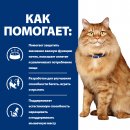 Сухой корм Hill's Prescription Diet k/d + Mobility для поддержания здоровья почек и суставов с курицей для кошек