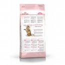 Royal Canin Kitten Sterilised