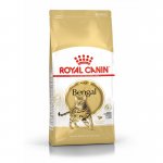 Royal Canin Bengal Cat Adult