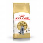 Royal Canin British Shorthair Adult