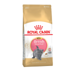 Royal Canin British Shorthair Kitten