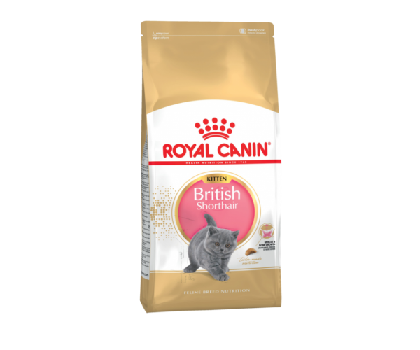 Сухой корм Royal Canin British Shorthair Kitten для котят