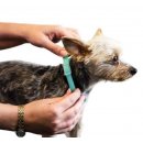SENTRY Ошейник Calming Collar для собак  для собак