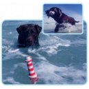 Игрушка Rogz Lighthouse для собак