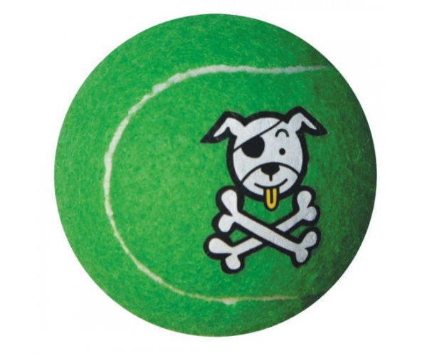 ROGZ Мяч для собак большой для собак