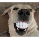 Игрушка резиновая Rogz Grinz Medium для собак