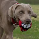 Игрушка мягкая "Зубы" Rogz Grinz Fluffy Small для собак