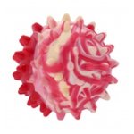 Sum-Plast Игрушка "Мяч с шипами" с ароматом ванили