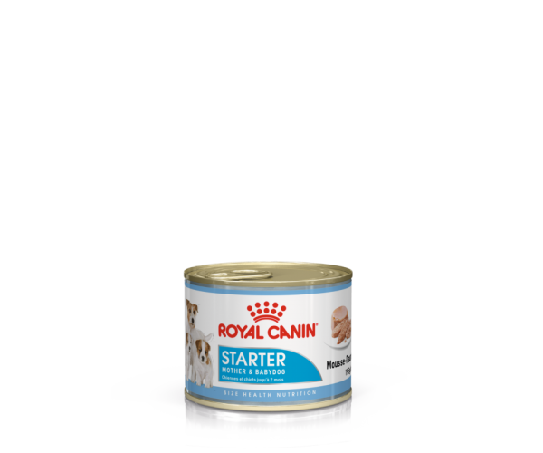 Royal Canin Starter Mousse